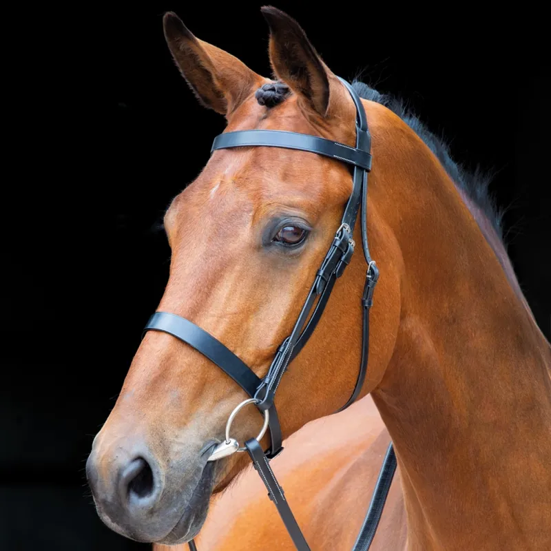 Shires Salisbury Berrington Bridle in Black